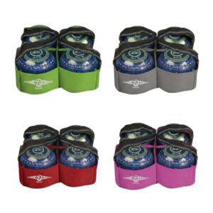 Taylor 4 Bowls Carrier